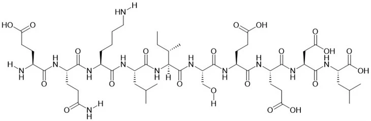 Myc Epitop Peptidi