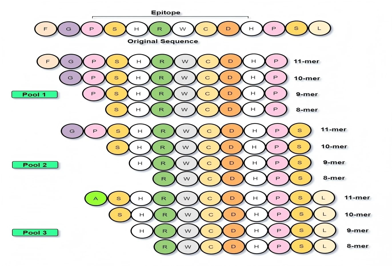 T-cell Truncated 1 T-cell Truncated 1