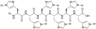 6 × Onun Peptidi