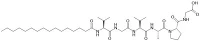 Palmitoil hexapeptid -12